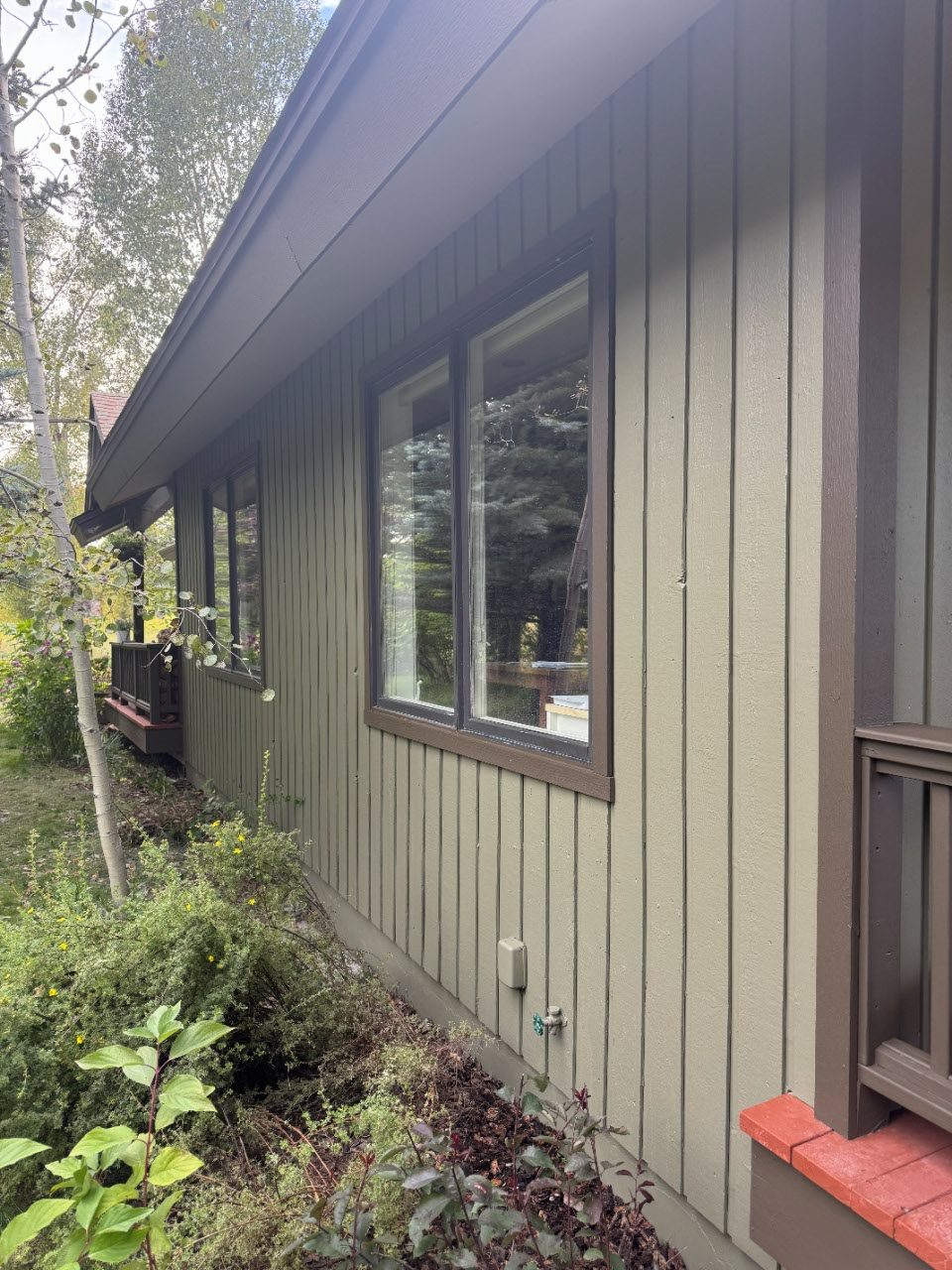 Vertical board siding repainted with crisp brown window trim